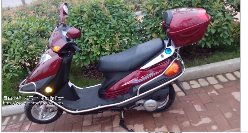 今天买了台豪爵锐星豪华版 - 豪爵铃木-踏板车