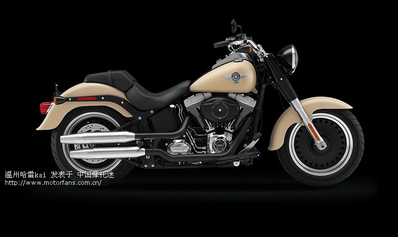 14款肥仔定制 - 进口品牌 - 哈雷Harley-Davidso