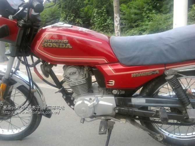 96年6月进口五羊黑条机 - 五羊本田-骑式车讨论