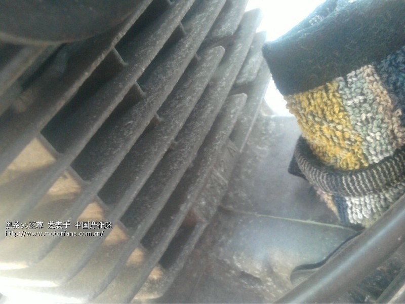 96年6月进口五羊黑条机 - 五羊本田-骑式车讨论