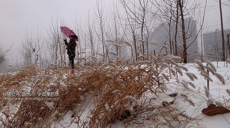 河南终于下雪了 - 摄影论坛 - 摩托车论坛 - 中国