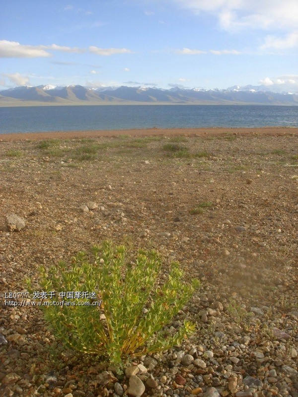 D17 8月5日拉萨羊八井当雄纳木错220K