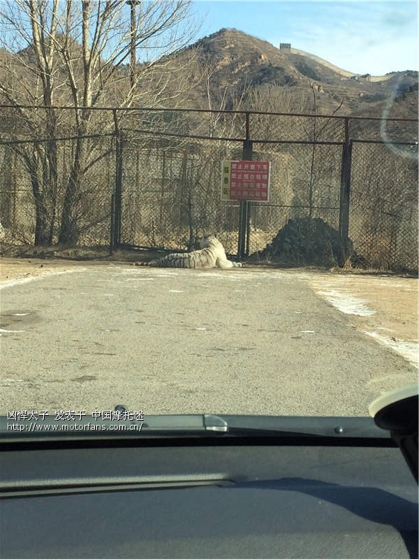 20140210驾思域柳沟八达岭野生动物世界 - 北