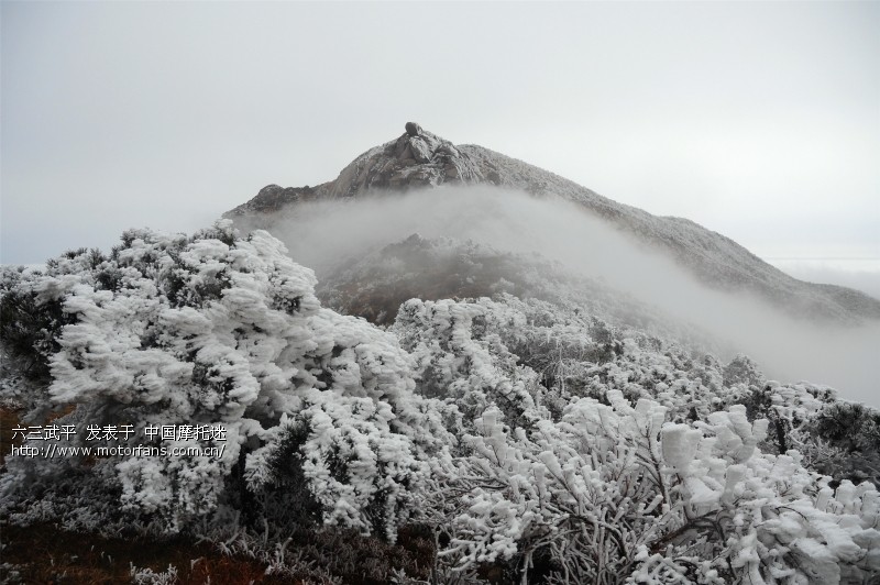 毫不逊色北方的南国雪景.闽西武平梁野山