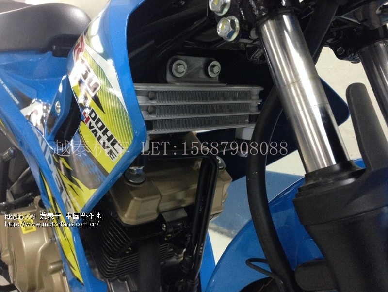 全新原装进口suzuki RAIDER 150CC 人妖 - 进