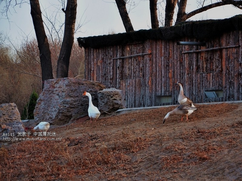桃花岛主 - 摄影论坛 - 摩托车论坛 - 中国第一摩