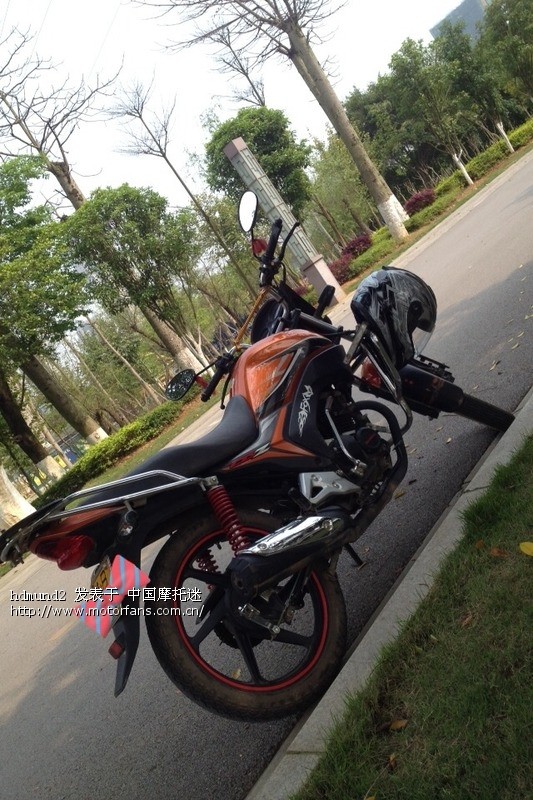 今天洗了小朗紧了链条喂了97号拉出去兜了一