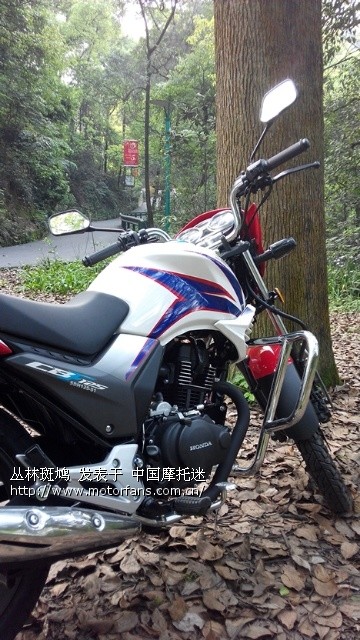 纠结很久,终于娶回小骚货, - 重庆摩友交流区 - 