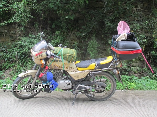 投票了,质量稳定的发动机! 10万公里无大修的发