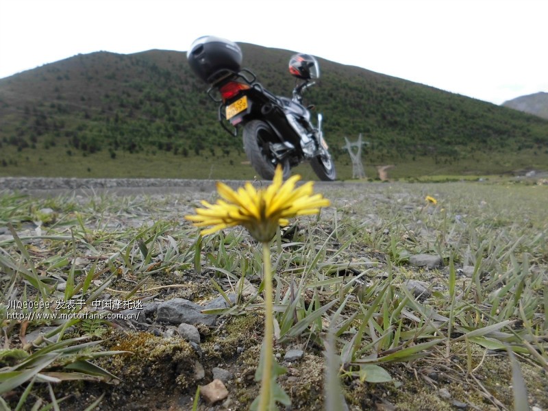 去年到的康定 今年7月中旬准备去拉萨 - 四川摩