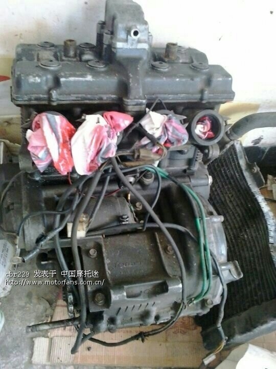 铃木GsXr250改07年F5 - 广东摩友交流区 - 摩托