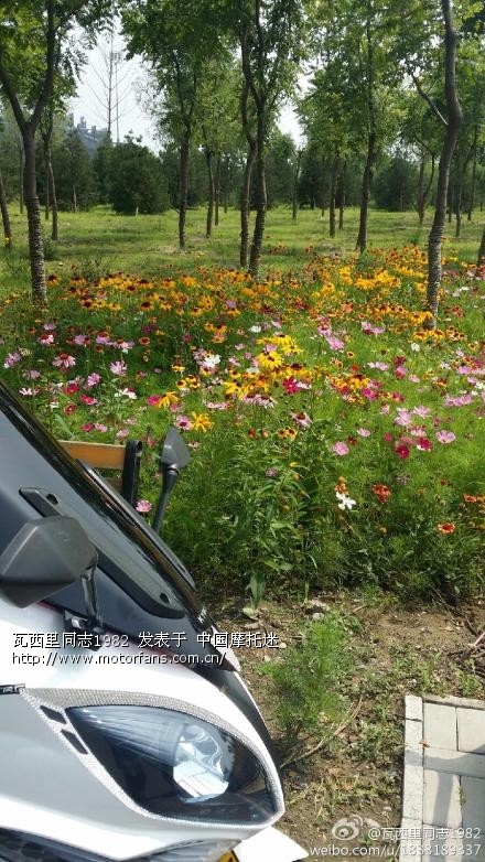 保险到期了~去哪上保险啊~~求助,京B公户 - 北