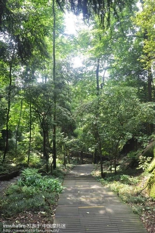 小跑缙云山,下山时享受大排机车党的注目礼! -