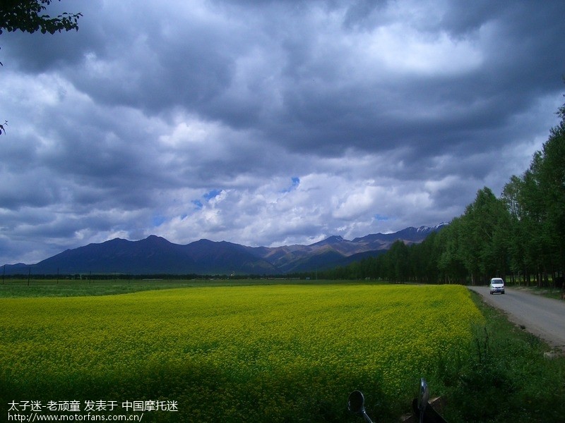 青海 海北好地方-- 门源油菜花 互助青稞酒及蜜