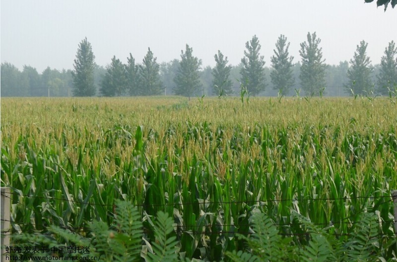 永登高速被拿下,我的永城之旅 - 河南摩友交流