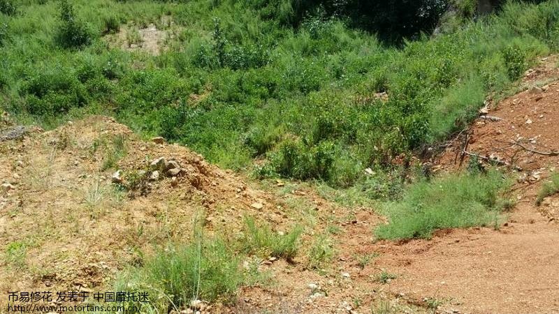 中秋的意义,无法忘怀的一天 - 云南摩友交流区