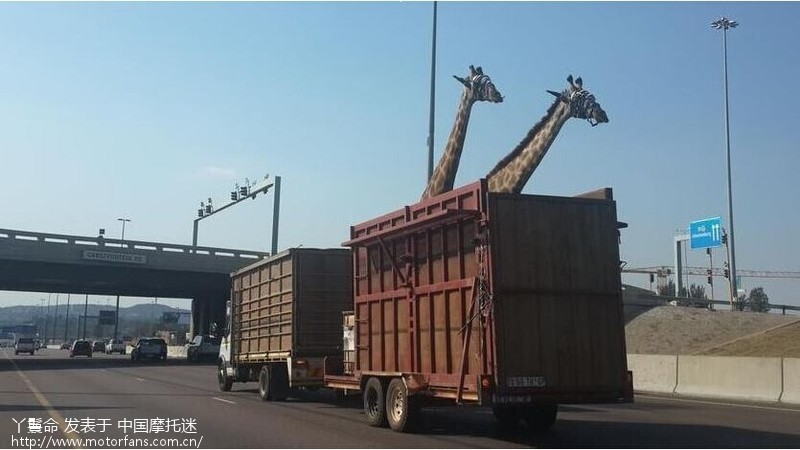 各国进口摩托车累计税率 - 进口品牌 - 摩托车论