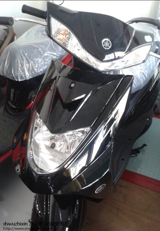 新款迅鹰上市了!(不是尚领,有图) - 踏板论坛 - 雅