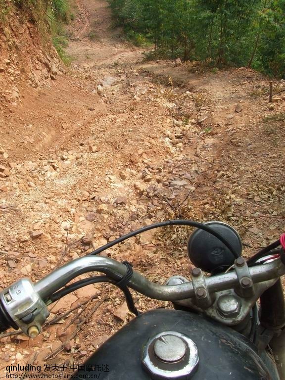 一时兴起上山搞了点树杈,不知能在淘宝卖多少