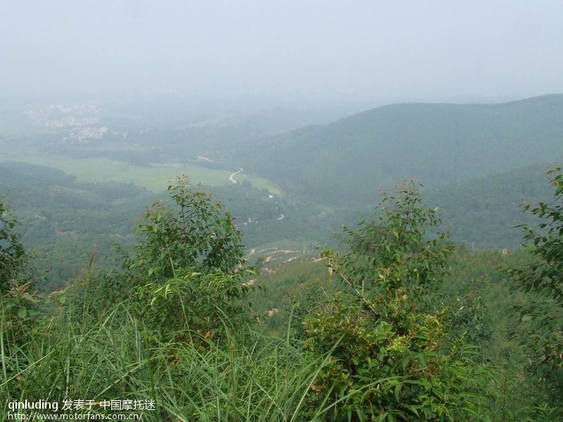 一时兴起上山搞了点树杈,不知能在淘宝卖多少