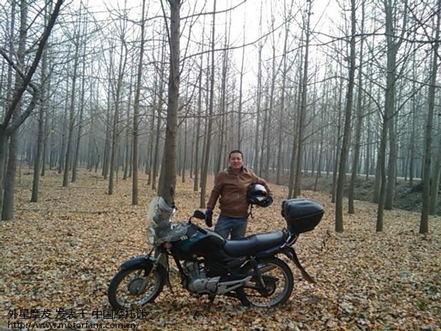 天冷了,闲逛,骑新大洲本田锐彪溜溜! - 山东摩友