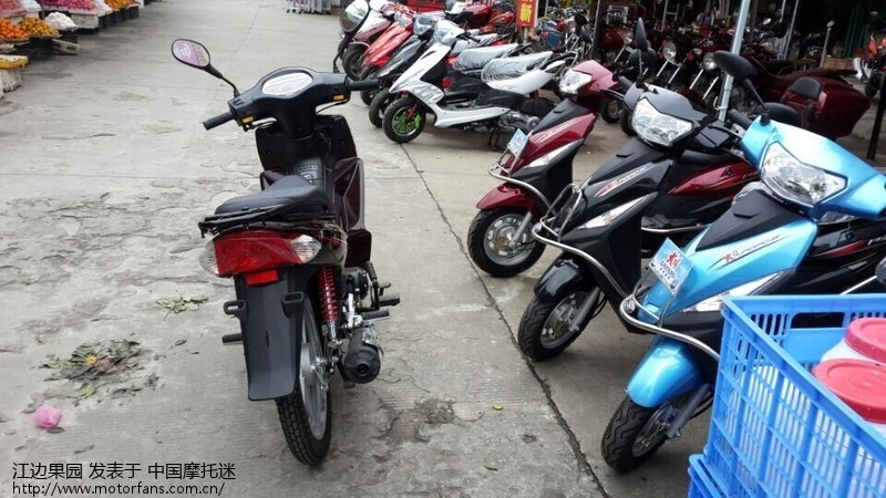 大阳出口版(双离合)100C和威武110,哪个好? -