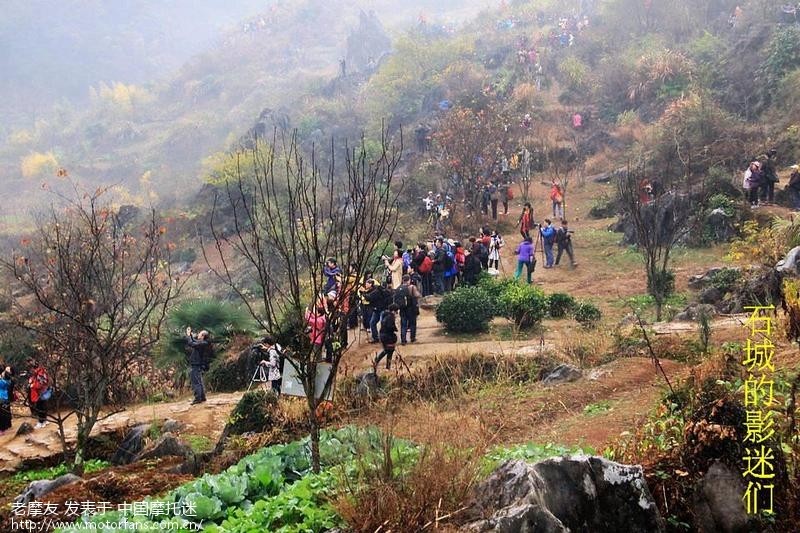 塔川傍边的协里秋色如画 - 上海摩友交流区 - 摩