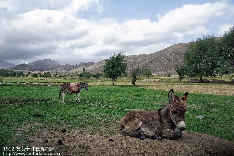 不灭的情感--新疆南部地区见闻(三) - 弯梁世界