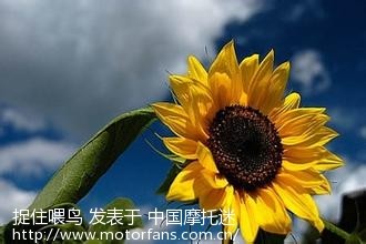 摩托车的寿命一般多少年? - 摩托车论坛 - 摩托