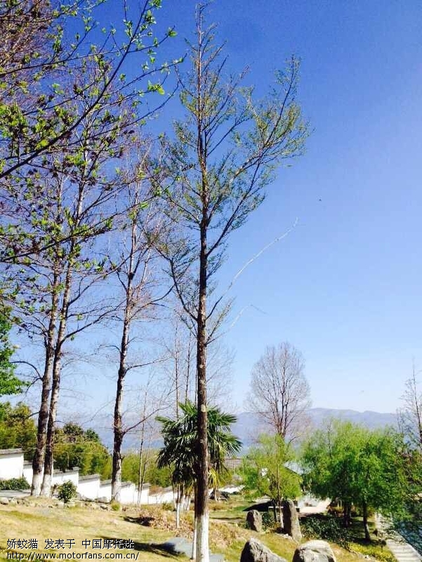 因为爱情,因为梦想,跟老公浪迹天涯 - 色魔驴行