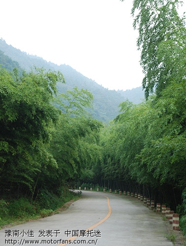 佳御极速 - 五羊本田-踏板车讨论专区 - 五羊本田