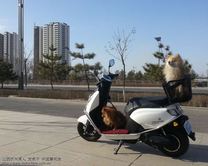 我的净原V2 - 电动车论坛 - 五羊本田-净原 - 摩托