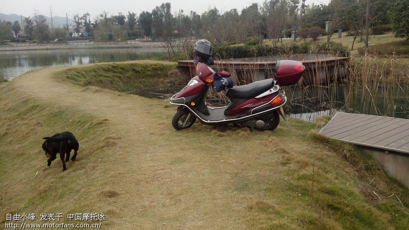 新人求教悦星与林海v舞 - 踏板论坛 - 摩托车论