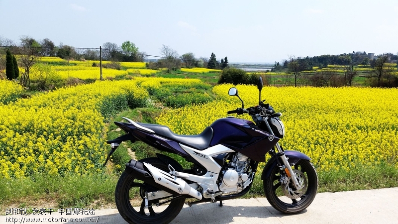 从天剑到飞致 - 雅马哈 - 摩托车论坛 - 中国第一