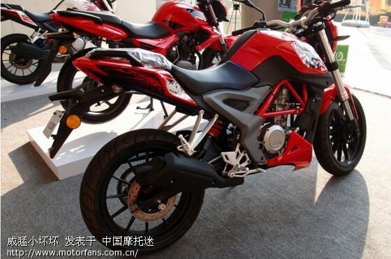 钱江小黄龙250duang~duang~来袭 - 吉林摩友交