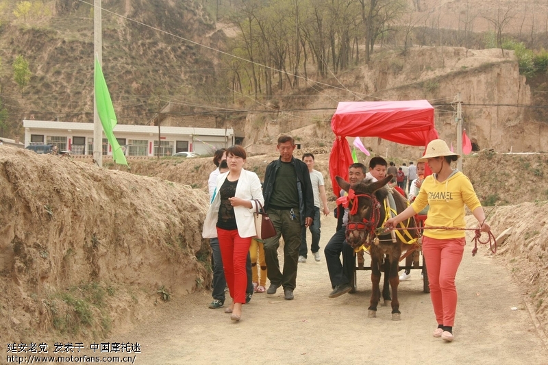 王二妮-黄河会风寨--延长车行开张助兴 - 陕西摩