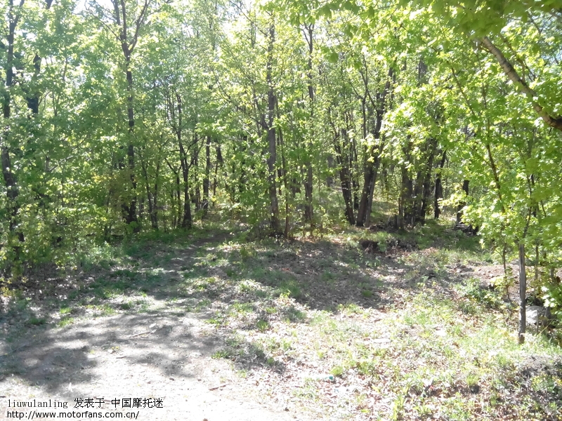 试着爬坡,力量还可以 - 豪爵铃木-骑式车讨论专