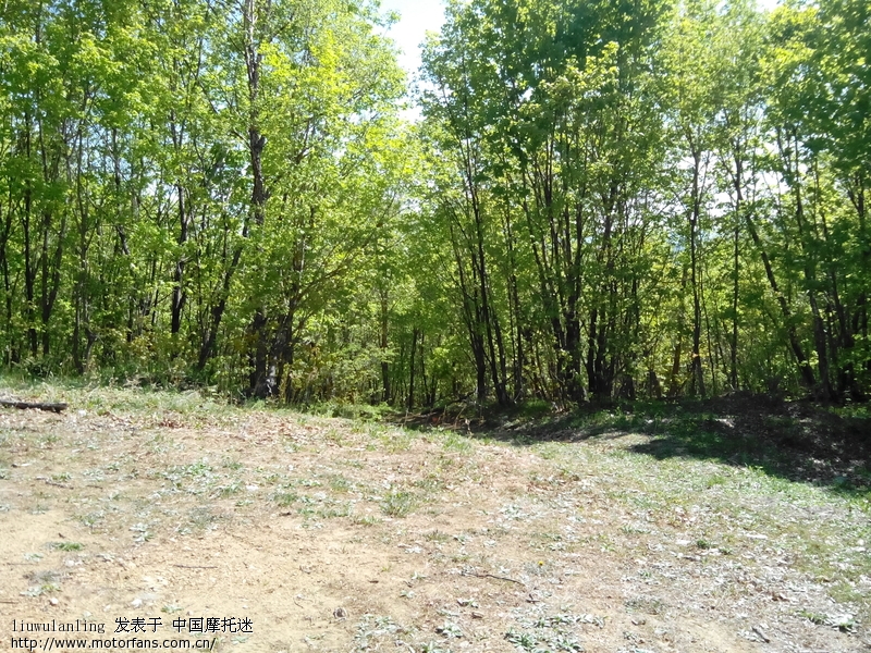 试着爬坡,力量还可以 - 豪爵铃木-骑式车讨论专