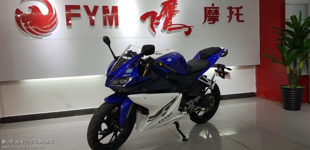 飞鹰r250发布