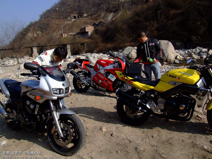 大年初五憋不住了,都出来晒晒太阳(补上昨晚没