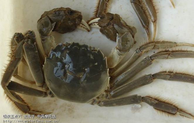 取被扣了的车,停车费为啥自己再出? - 摩托车论