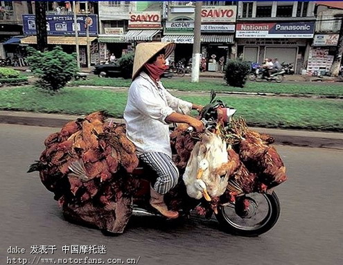 越南人口有多少_探访越南人的真实乡村生活