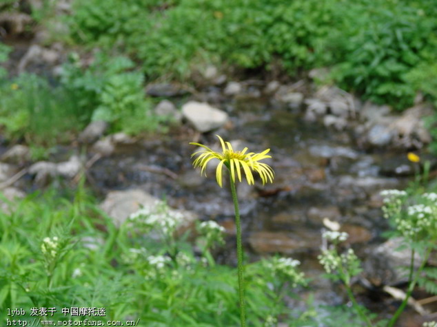 新疆石河子大石湾 - 色魔驴行 - 摩托车论坛 - 中