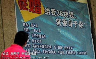 餐厅广告语_餐厅雷人广告语_饭店广告语