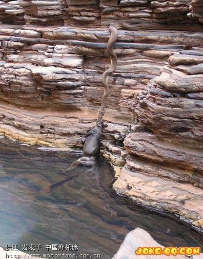 泰罗奥特曼之王全集_黑暗泰罗奥特曼全集_泰罗奥特曼全集国语版