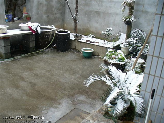 宁波各地今天2月1号天气怎么样 雪大吗? - 浙江