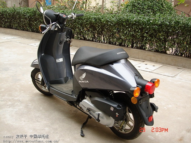 新大洲本田50 (天涯丽人、世纪梦、today!)专区