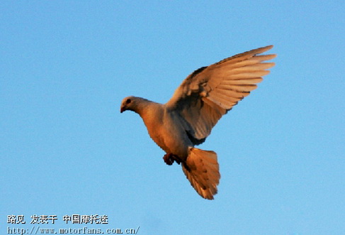 摩托车几年国家强制报废? - 摩托车论坛 - 摩托