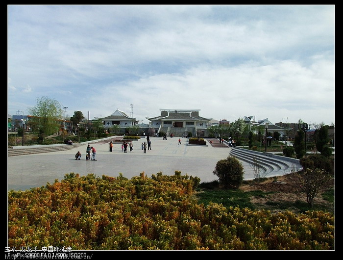 带老婆游青海小江南--贵德(2009年4月25日第4