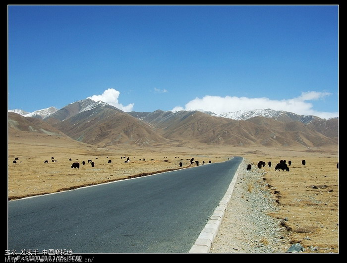 带老婆游青海小江南--贵德(2009年4月25日第4